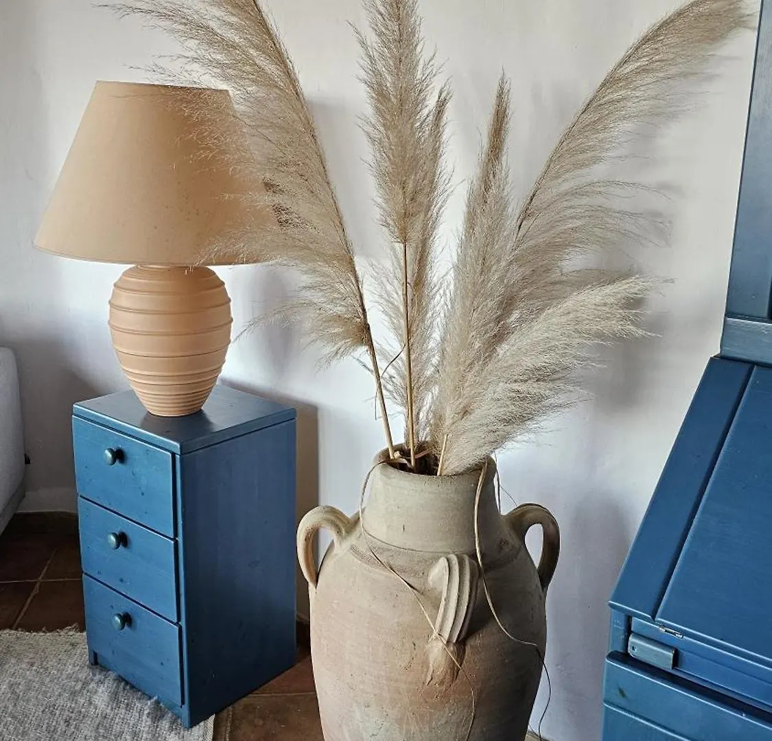 Spacious Villa With Pool And Fireplace Roquebrune-sur-Argens