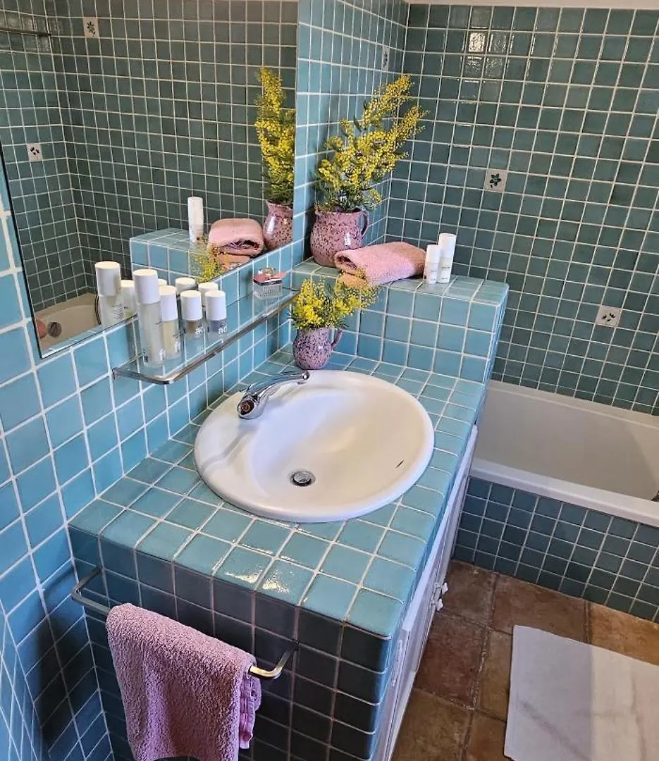 Spacious Villa With Pool And Fireplace Roquebrune-sur-Argens 0*,  Frankrijk