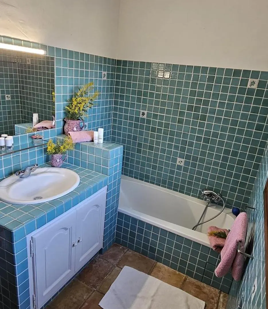 Spacious Villa With Pool And Fireplace Roquebrune-sur-Argens