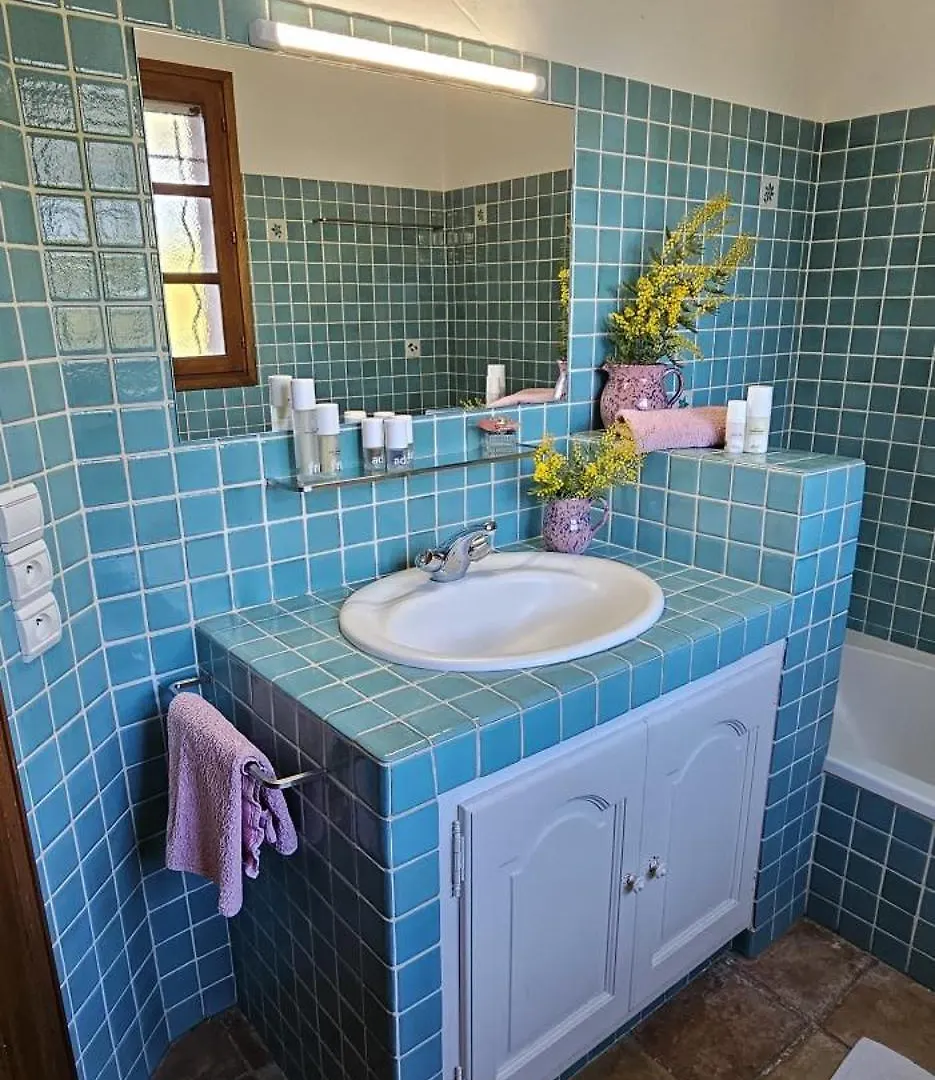 Spacious Villa With Pool And Fireplace Roquebrune-sur-Argens Frankrijk